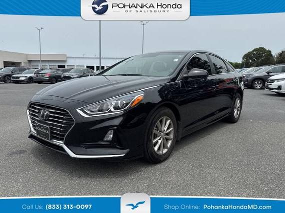 HYUNDAI SONATA 2019 5NPE24AF6KH809499 image