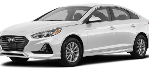 HYUNDAI SONATA 2019 5NPE24AF7KH817398 image