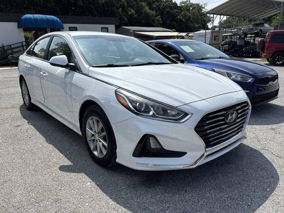 HYUNDAI SONATA 2019 5NPE24AF6KH804111 image