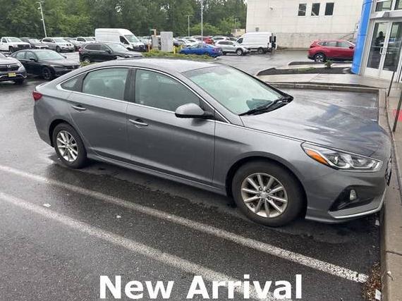 HYUNDAI SONATA 2019 5NPE24AF1KH745646 image