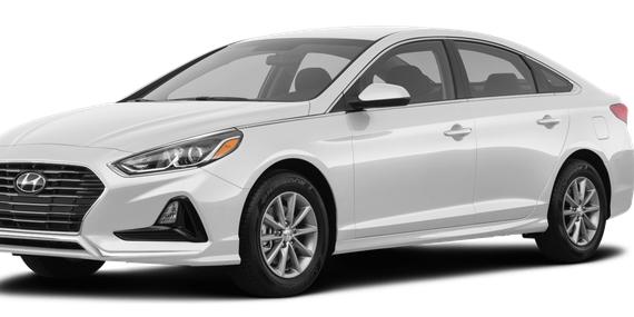 HYUNDAI SONATA 2019 5NPE24AF4KH743678 image