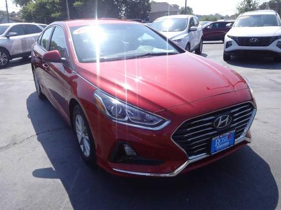 HYUNDAI SONATA 2019 5NPE24AF6KH814976 image