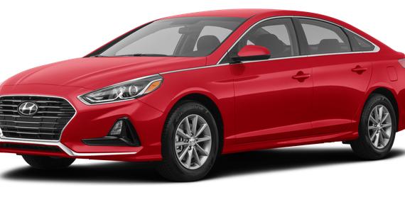 HYUNDAI SONATA 2019 5NPE24AF5KH769187 image