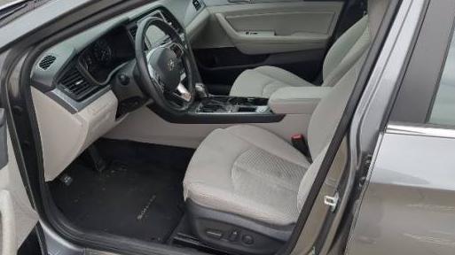 HYUNDAI SONATA 2019 5NPE34AF1KH736099 image