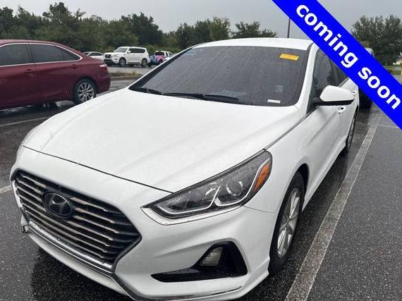 HYUNDAI SONATA 2019 5NPE24AF9KH764221 image