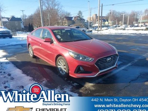 HYUNDAI SONATA 2019 5NPE24AFXKH776314 image