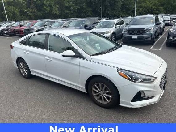 HYUNDAI SONATA 2019 5NPE24AF6KH794549 image