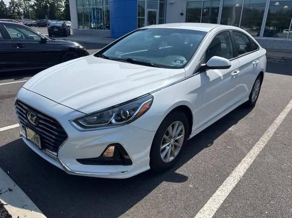 HYUNDAI SONATA 2019 5NPE24AF7KH746624 image