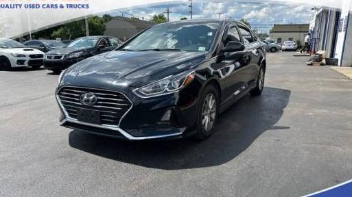 HYUNDAI SONATA 2019 5NPE24AF7KH776948 image