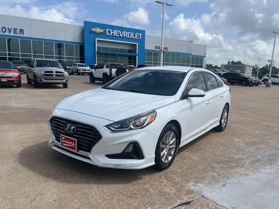 HYUNDAI SONATA 2019 5NPE24AF0KH747646 image