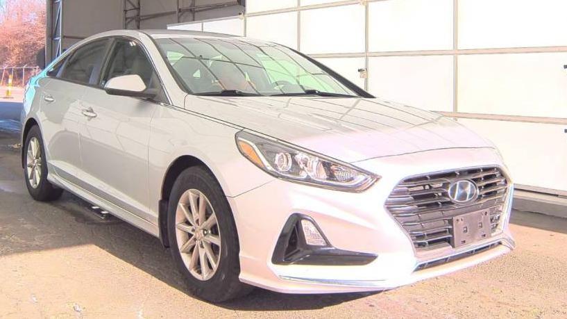 HYUNDAI SONATA 2019 5NPE24AF5KH805783 image