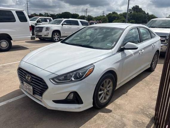 HYUNDAI SONATA 2019 5NPE24AF1KH749387 image