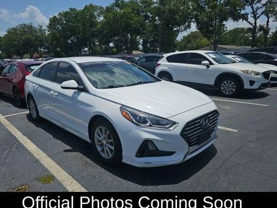 HYUNDAI SONATA 2019 5NPE24AF8KH768163 image
