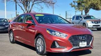 HYUNDAI SONATA 2019 KMHE24L38KA085076 image