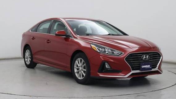 HYUNDAI SONATA 2019 5NPE24AFXKH761988 image