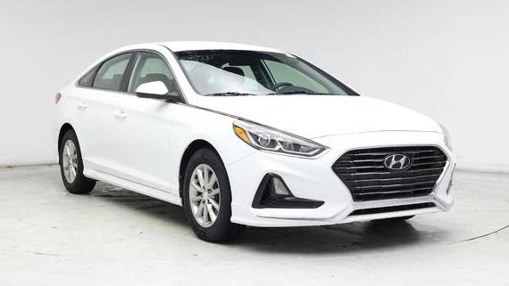 HYUNDAI SONATA 2019 5NPE24AF7KH737339 image