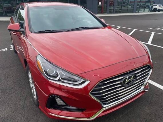 HYUNDAI SONATA 2019 5NPE24AF3KH811646 image