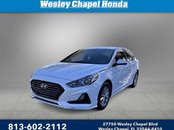 HYUNDAI SONATA 2019 5NPE24AF8KH731484 image