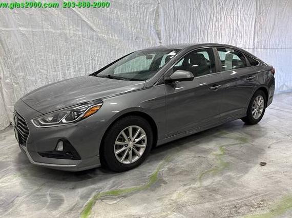 HYUNDAI SONATA 2019 5NPE24AA9KH775952 image