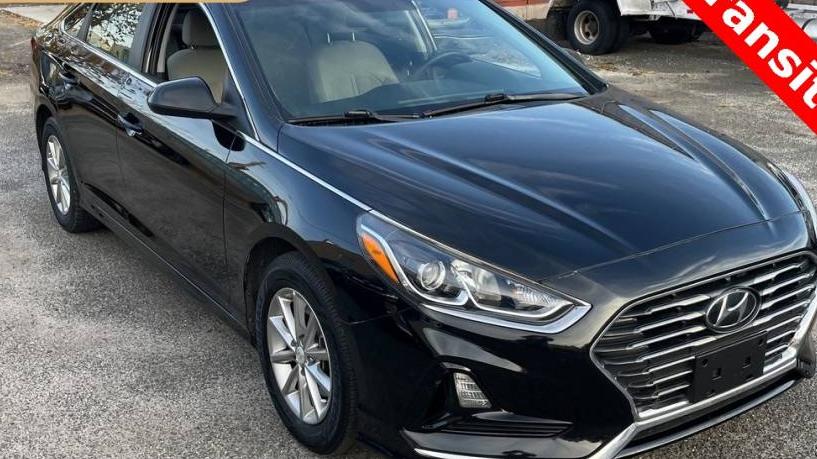 HYUNDAI SONATA 2019 5NPE24AF5KH778472 image