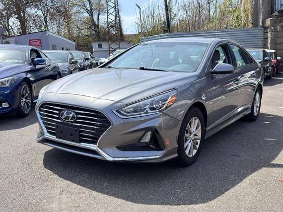 HYUNDAI SONATA 2019 5NPE24AF9KH777440 image