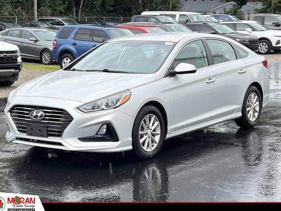 HYUNDAI SONATA 2019 5NPE24AA9KH775143 image