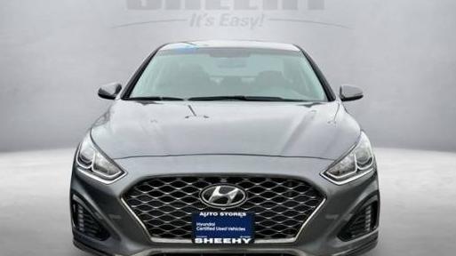 HYUNDAI SONATA 2019 5NPE34AF6KH793883 image