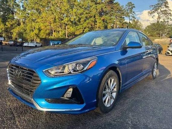 HYUNDAI SONATA 2019 5NPE24AF7KH778537 image