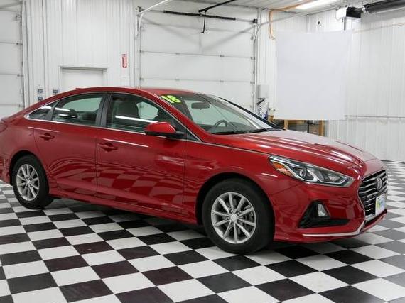 HYUNDAI SONATA 2018 5NPE24AF5JH625038 image
