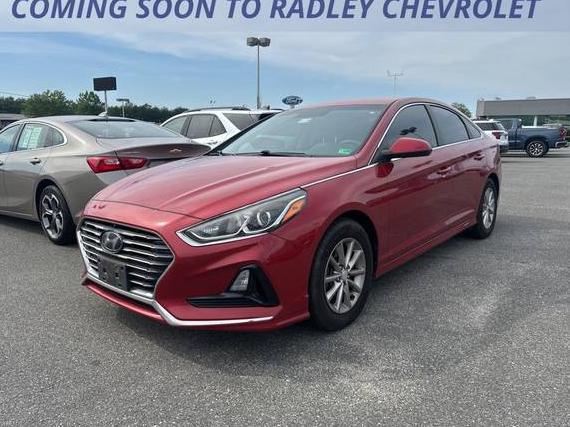 HYUNDAI SONATA 2018 5NPE24AF3JH640203 image