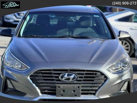 HYUNDAI SONATA 2018 5NPE24AF0JH688533 image