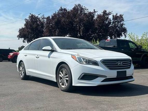 HYUNDAI SONATA 2017 5NPE24AF1HH549585 image