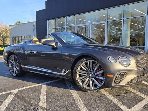 BENTLEY CONTINENTAL 2023 SCBDT4ZG6PC010236 image BENTLEY CONTINENTAL 2023 SCBDT4ZG6PC010236 image