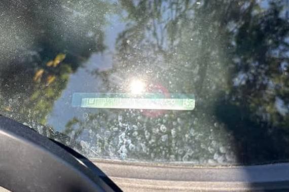 GMC TERRAIN 2021 3GKALPEV4ML344856 image