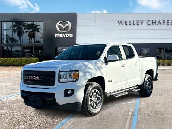 GMC CANYON 2019 1GTG6FEN7K1298029 image