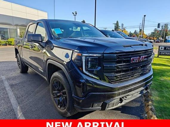 GMC SIERRA 2023 1GTPUCEK7PZ201365 image