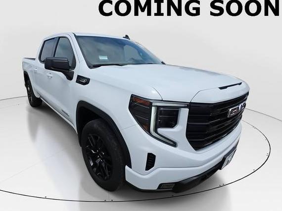 GMC SIERRA 2023 1GTPHCE83PZ146745 image