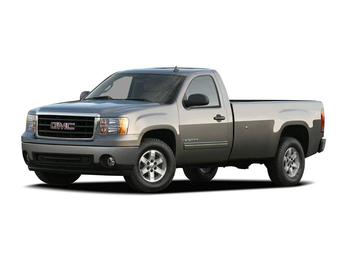 GMC SIERRA 2009 1GTEK29009Z137320 image