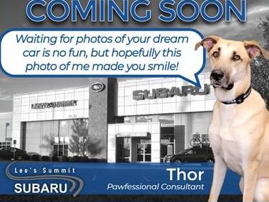 GMC SIERRA 2019 3GTU9DED0KG236172 image GMC SIERRA 2019 3GTU9DED0KG236172 image