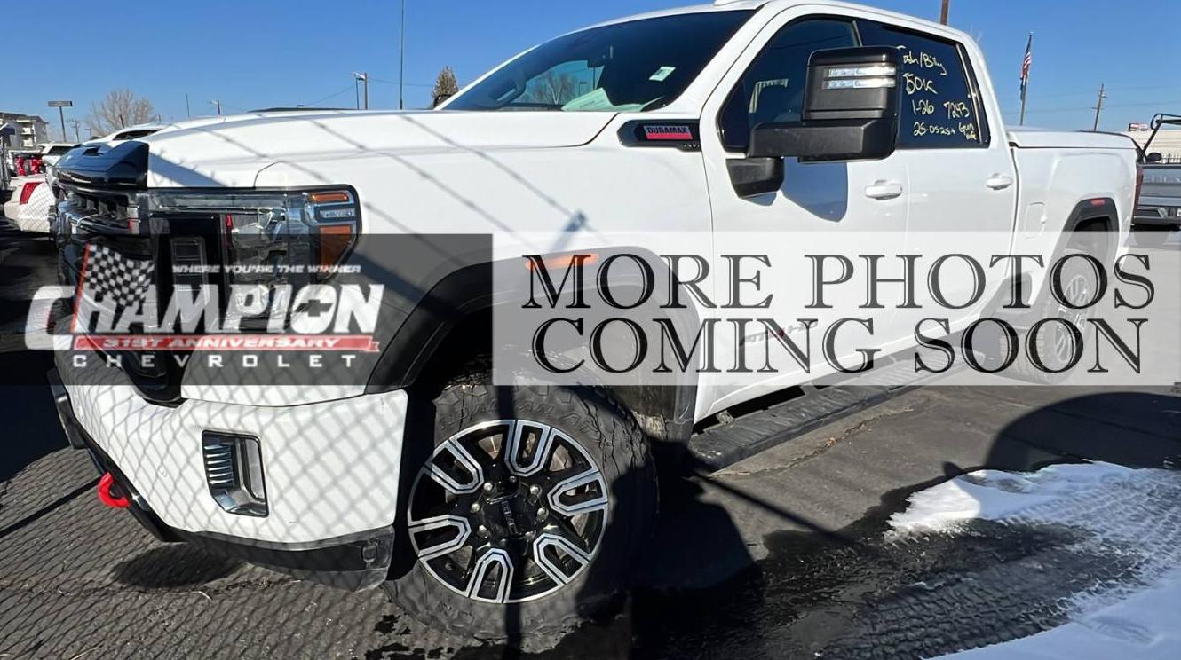 GMC SIERRA 2021 1GT49PEY1MF246783 image