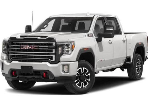 GMC SIERRA 2020 1GT49PE72LF223079 image