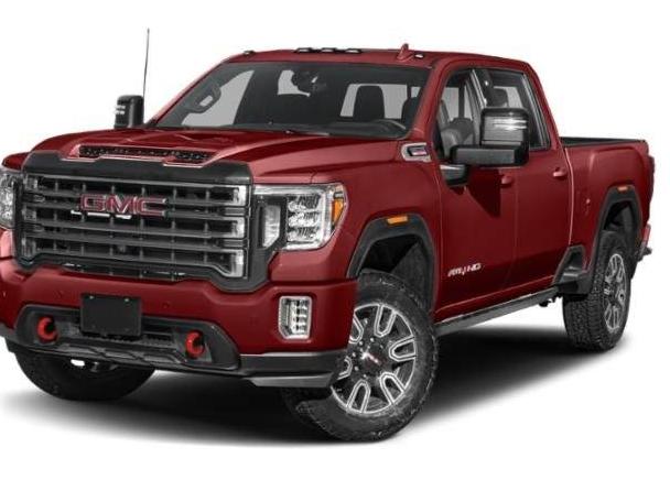 GMC SIERRA 2020 1GT49VEY8LF313902 image