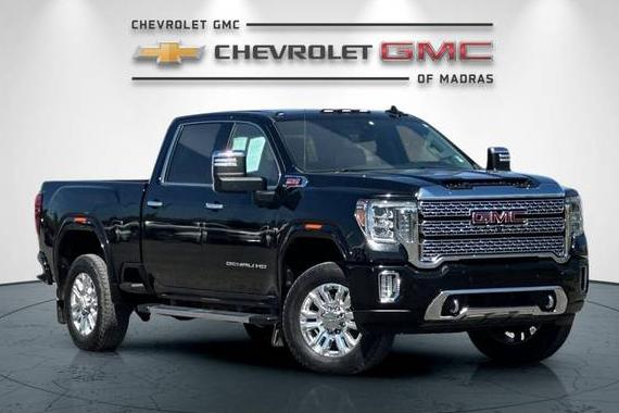 GMC SIERRA 2020 1GT49WEY4LF332856 image