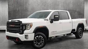 GMC SIERRA 2020 1GT49PE75LF289058 image