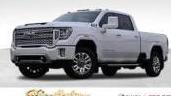 GMC SIERRA 2020 1GT49WEY2LF190104 image