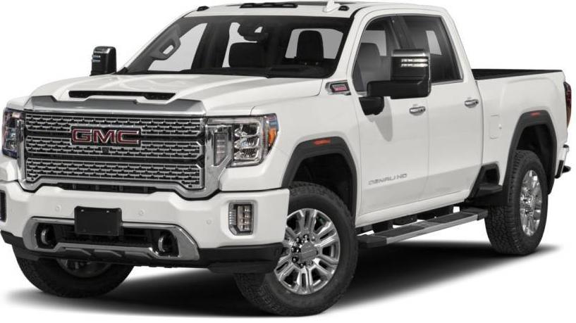 GMC SIERRA 2020 1GT49REY4LF187335 image