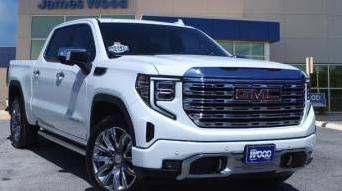GMC SIERRA 2022 1GTUUGED1NZ601978 image