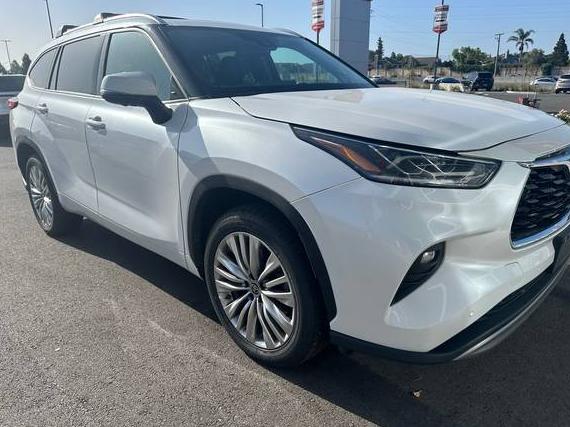 TOYOTA HIGHLANDER 2023 5TDKDRAH0PS031939 image