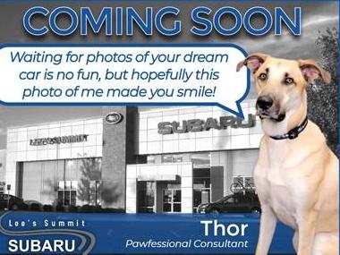 TOYOTA HIGHLANDER 2019 5TDJZRFH8KS618906 image