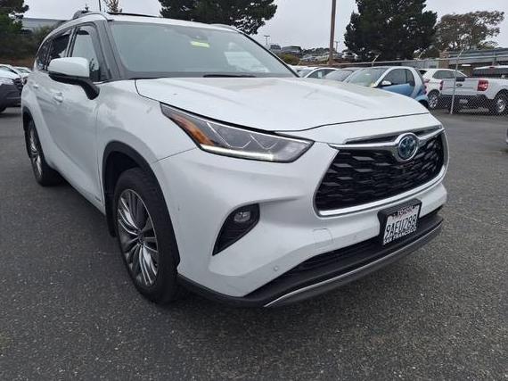 TOYOTA HIGHLANDER 2022 5TDEBRCHXNS081891 image